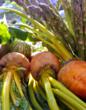 La Prima Catering Introduces New Spring & Summer Menu